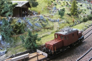Modelleisenbahnklub-Wil-013