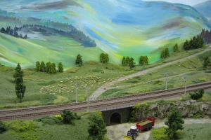 Schwarzwald Modellbahn 021