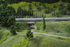 Schwarzwald Modellbahn 029