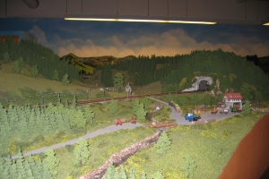 Schwarzwald Modellbahn 037