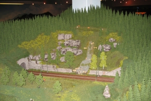 Schwarzwald Modellbahn 045